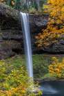 USA-Oregon-Silver Falls State Park Tall waterfall and forest in autumn Art Print